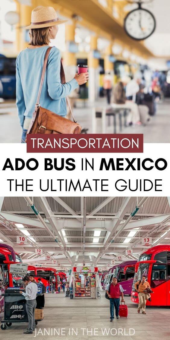 Are Car Seats Required in Mexico : Essential Guide