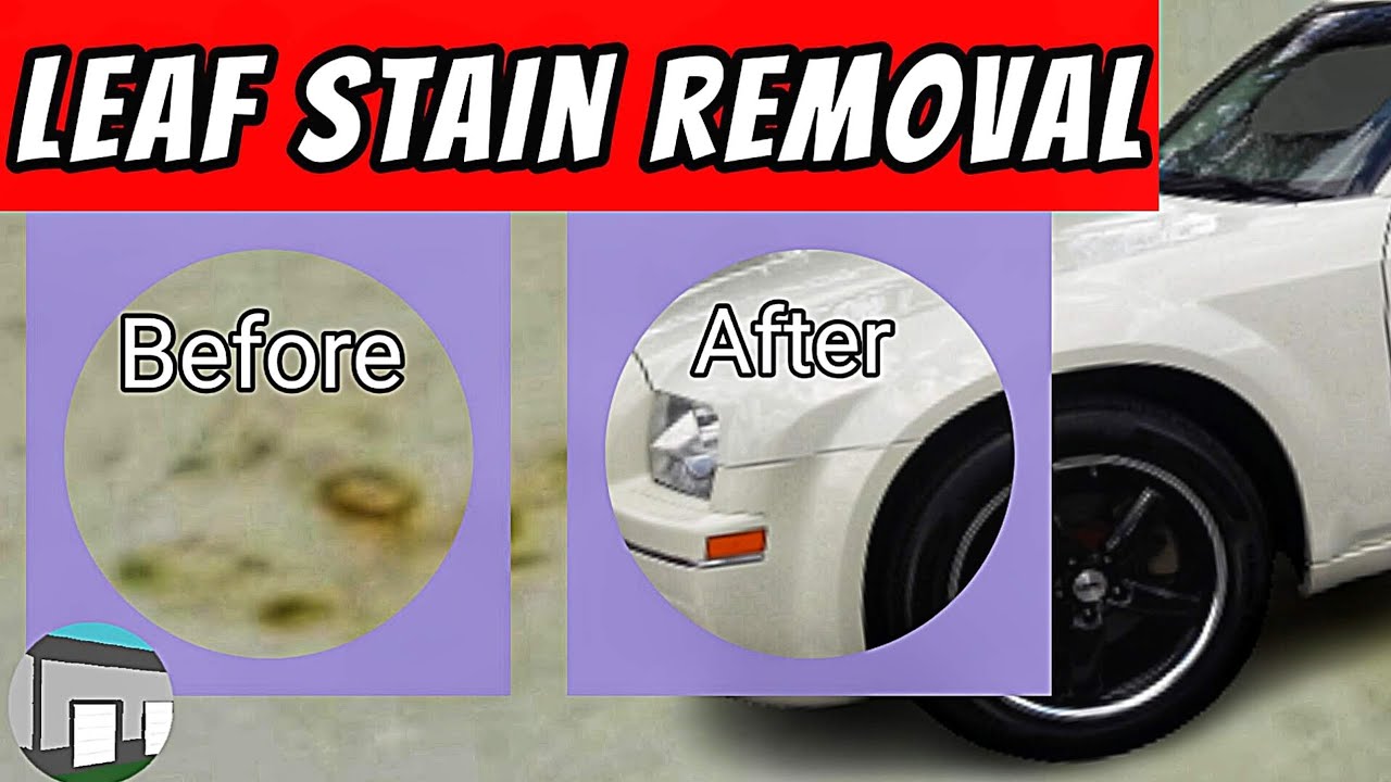 How to Remove Leaf Stains from Car Paint: Easy Tricks!