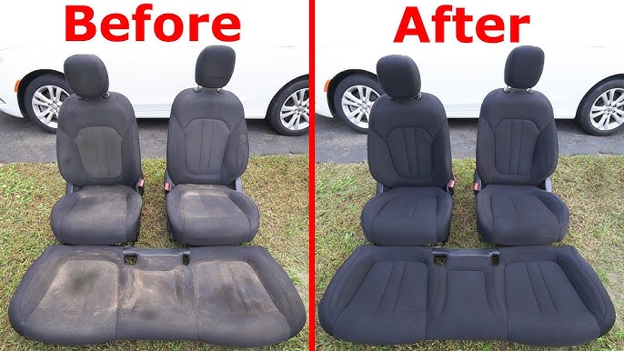 How to Remove Pee Stains from Leather Car Seat: Ultimate Guide